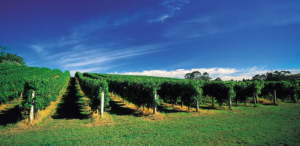 Vineyard Cottages - Kumeu Waimauku Εξωτερικό φωτογραφία
