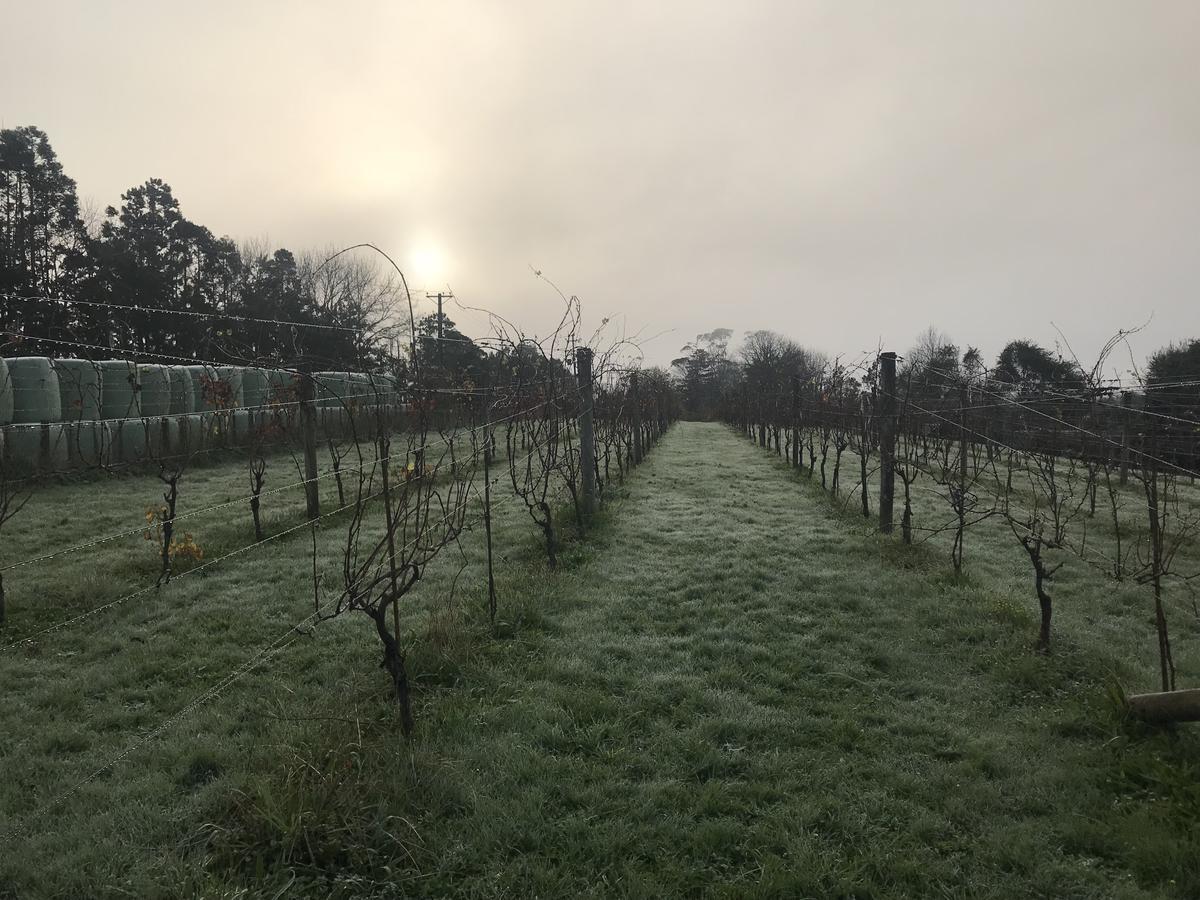 Vineyard Cottages - Kumeu Waimauku Εξωτερικό φωτογραφία