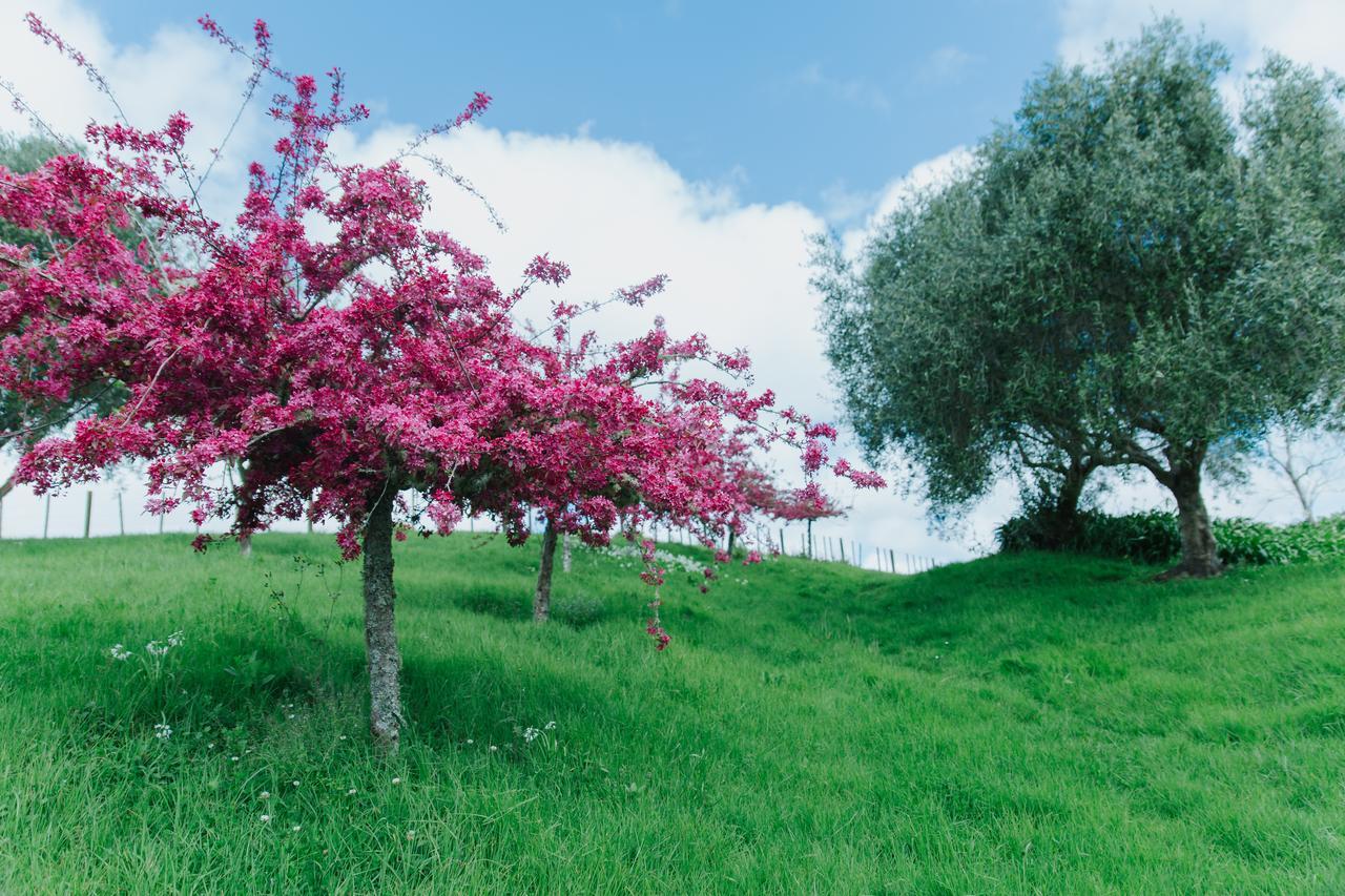 Vineyard Cottages - Kumeu Waimauku Εξωτερικό φωτογραφία