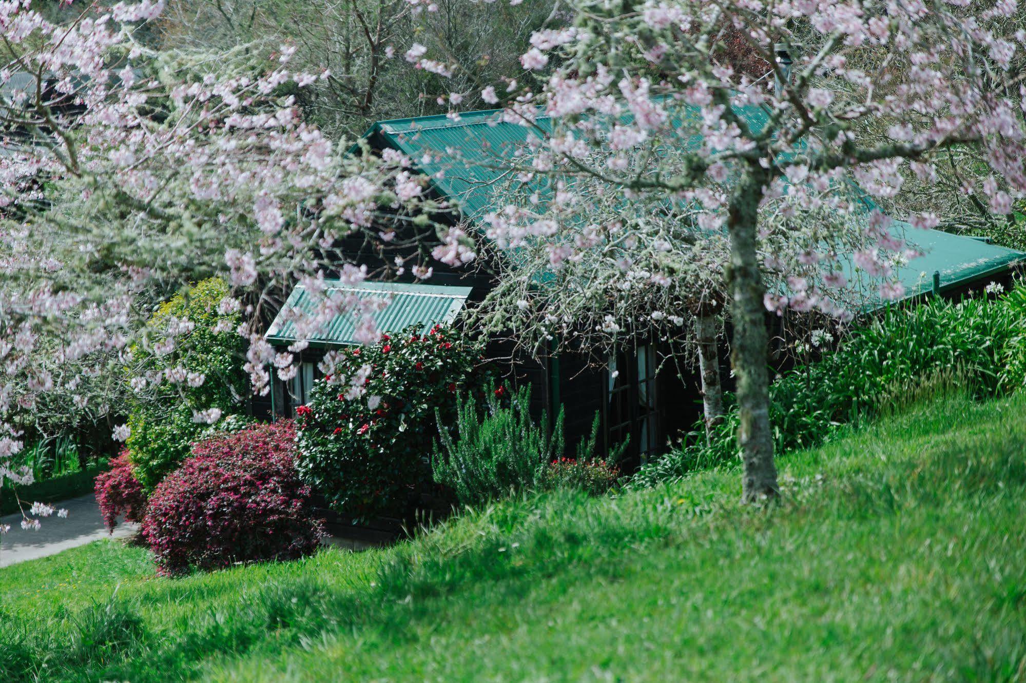 Vineyard Cottages - Kumeu Waimauku Εξωτερικό φωτογραφία